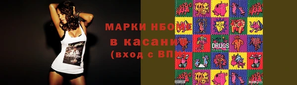 соль ск Зеленодольск