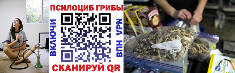 Псилоцибиновые грибы Psilocybe  мориарти состав  Кизел  где купить наркотик 