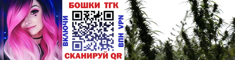 сколько стоит  Кизел  Каннабис семена 